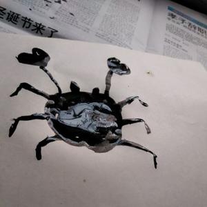 小宝哥要阳光头像