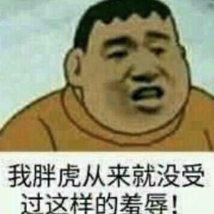 胖虎洛克头像