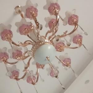 蒋林苍头像