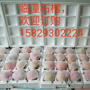 用户102030358843头像