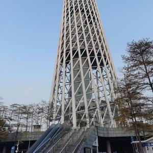丰富橡皮0头像
