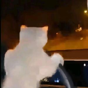 蜉蝣QvQ头像
