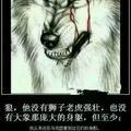 百万粉丝头像