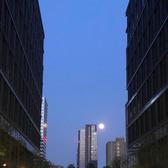 豆豆呆呆耳头像