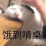 龙腾3189头像