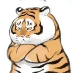 我为木头去烧树 头像