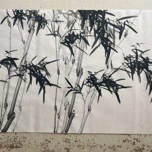 郑老师聊美术头像