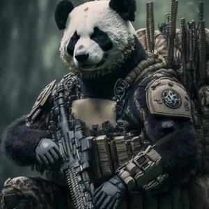 听风的熊猫头像