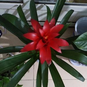 后百科全书 头像