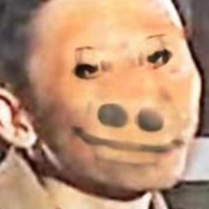 我不管我就要上天 头像