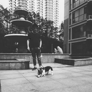 刘老板吗头像