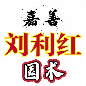 刘利红在嘉善·教学20年（中国武术教练）头像