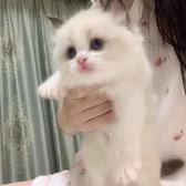 懿渊汵头像