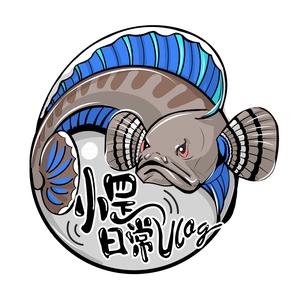 郑小罡爱养鱼头像