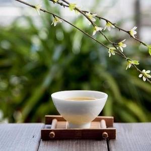 风尘恋恋618头像