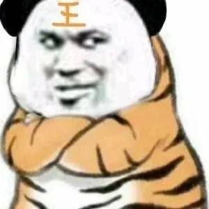 不过是小脑斧罢了头像