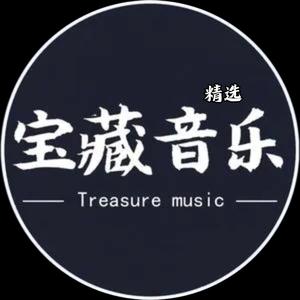 宝藏音乐库车载U盘头像