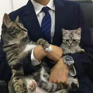 千秋一剪梅头像