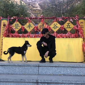 万能大叔头像