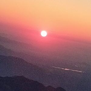 幸运小鱼M19fmq头像