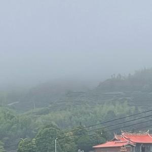 神奇的动物在抖音头像