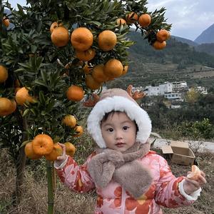 橙长紀头像