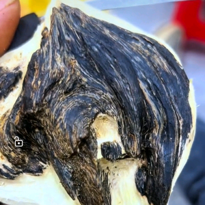 吖螺沉香讲解头像