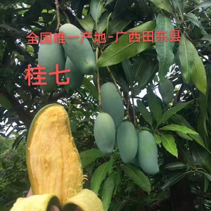 梁祝头像