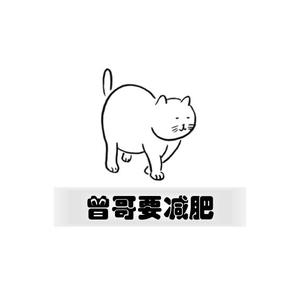 曾哥要减肥头像