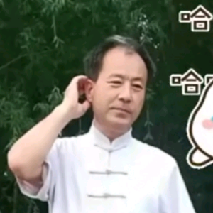 无极雄鹰头像