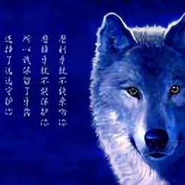 狼North头像
