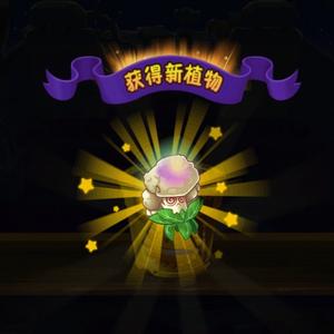 灰尘风暴头像
