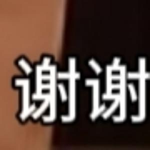 我的世界实体303头像
