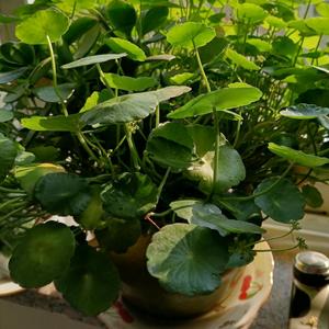 润宝田节水灌溉器材头像