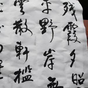 进霖书法头像