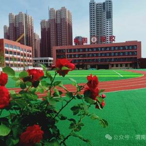 weinantaoyuan头像