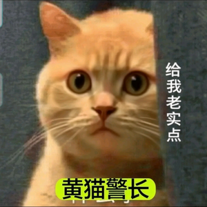 黄猫侦探头像