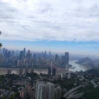 重庆向阳而上头像