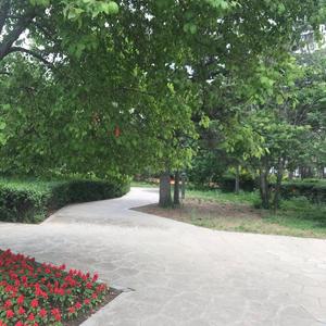 音乐疗疾头像