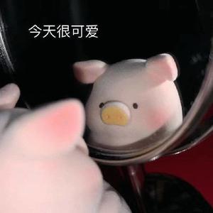 柯达猪头像