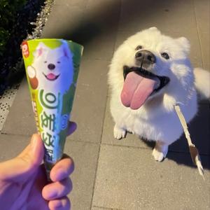 我叫方方啊头像