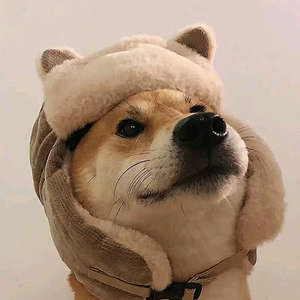 小祁综艺解说头像