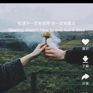 自由清泉Y头像