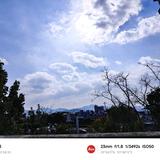 看变人间万千景头像