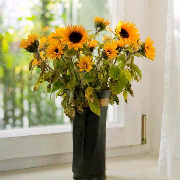 潮流达人hxj头像