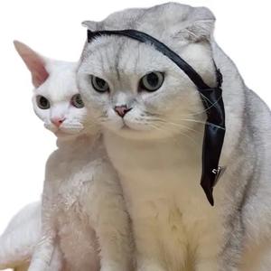 馒头是头喵头像