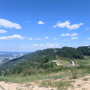 黄莹头像
