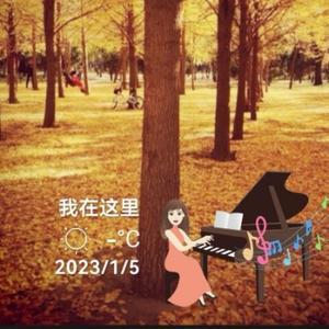 银杏林音乐头像