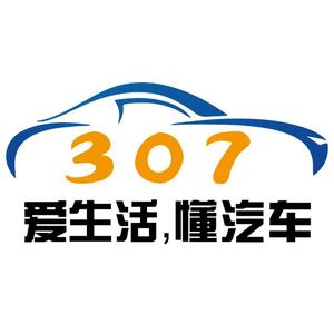 307说车