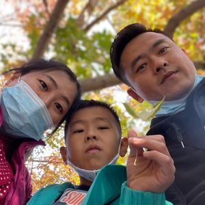 博学枫叶H头像